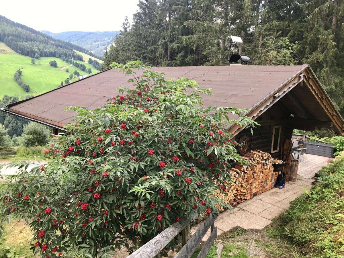 Wasserfallhuette Saalbach Экстерьер фото