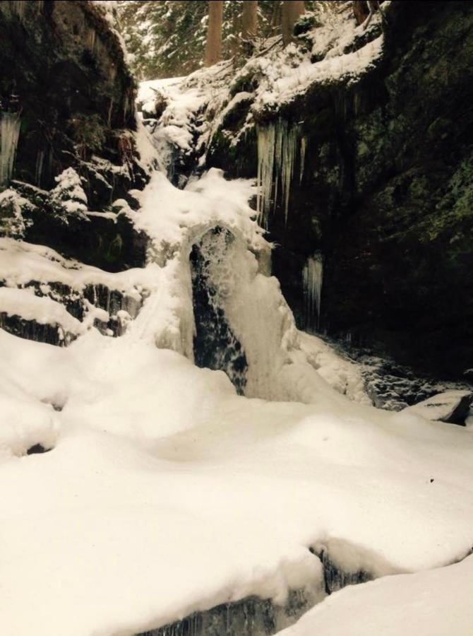 Wasserfallhuette Saalbach Экстерьер фото